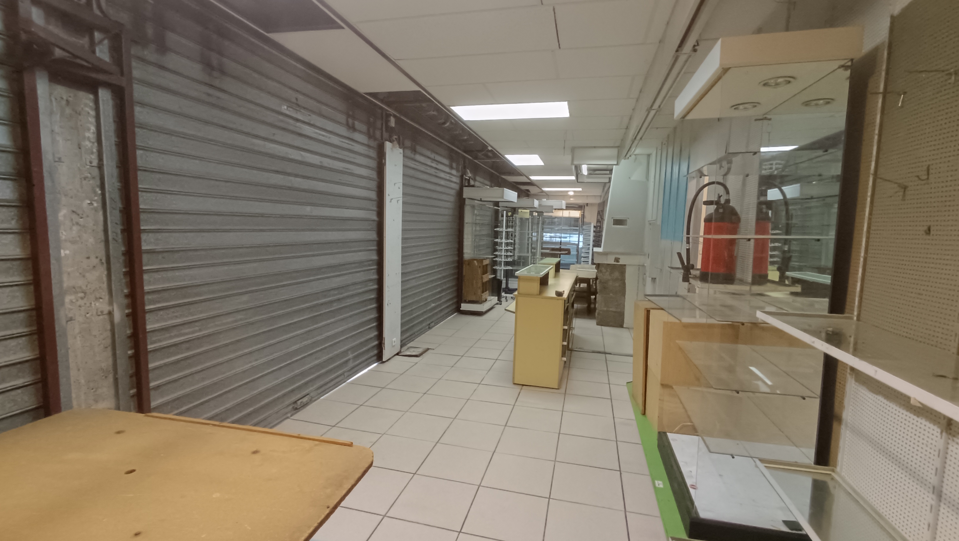 IMG 20250417 115121