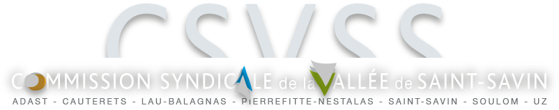 logo csvss